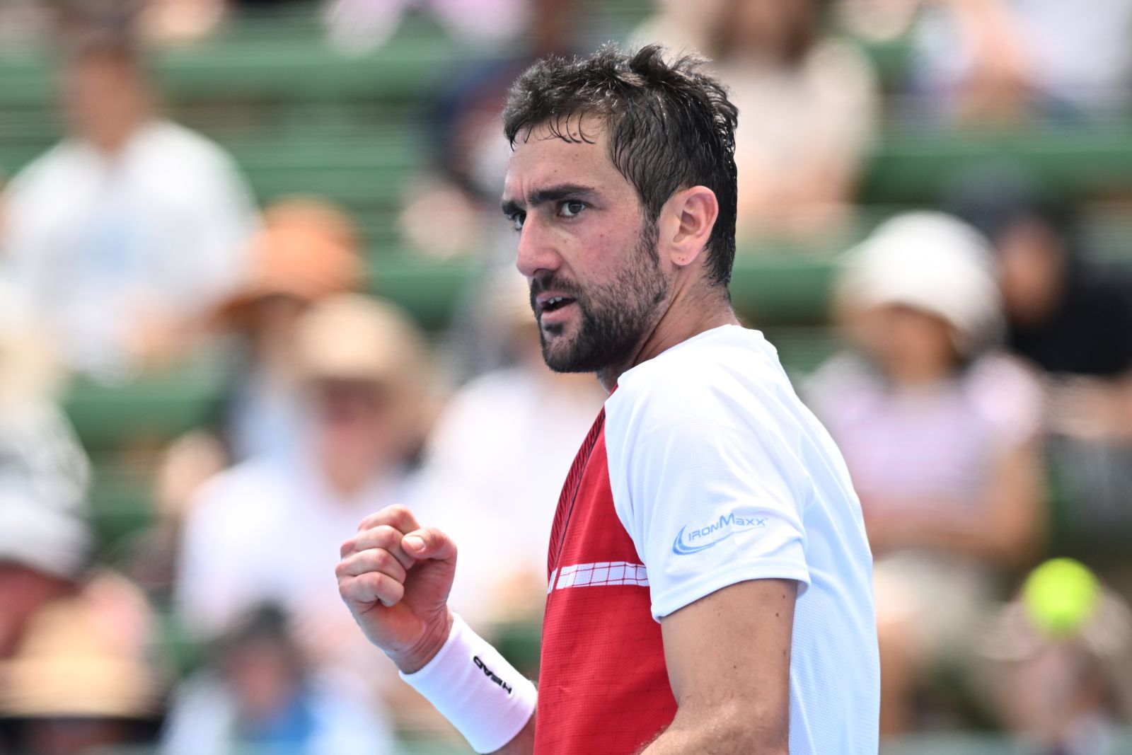 epa11066784 Marin Cilic of Croatia celebrates a point against Andy Murray of Britain during their match at the 2024 Kooyong Classic at the Kooyong Lawn Tennis Club in Melbourne, Australia, 10 January 2024.  EPA/JOEL CARRETT  AUSTRALIA AND NEW ZEALAND OUT