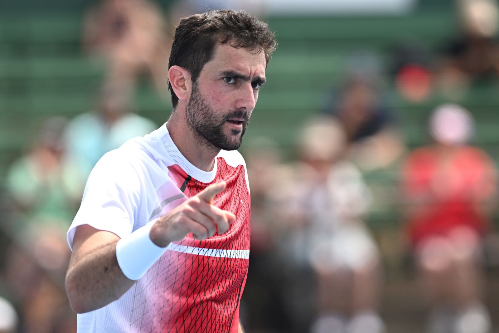 epa11066777 Marin Cilic of Croatia celebrates defeating Andy Murray of Britain during their match at the 2024 Kooyong Classic at the Kooyong Lawn Tennis Club in Melbourne, Australia, 10 January 2024.  EPA/JOEL CARRETT  AUSTRALIA AND NEW ZEALAND OUT