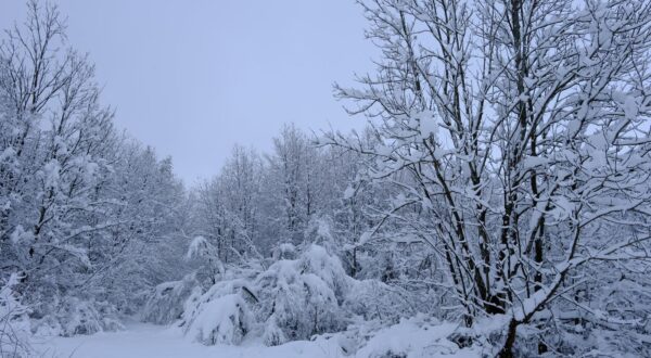 27.02.2023., Prava snjezna idila u Lici Photo: Slaven Branislav Babic/PIXSELL
