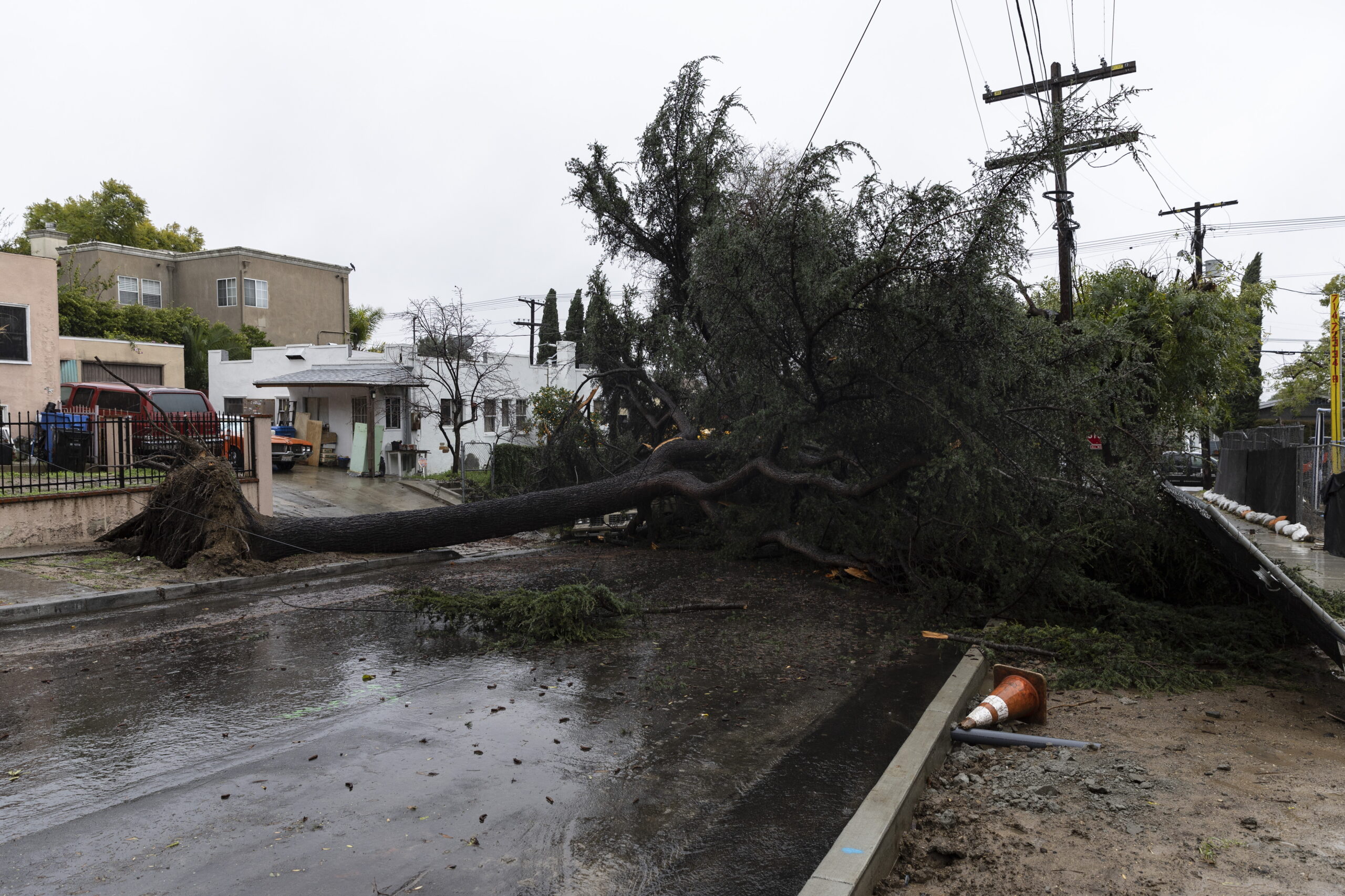 epa11129716 A large tree toppled by winds blocks an entire street as a storm sweeps through Southern California bringing torrential rains and high winds, in Los Angeles, 05 February 2024.  EPA/ETIENNE LAURENT