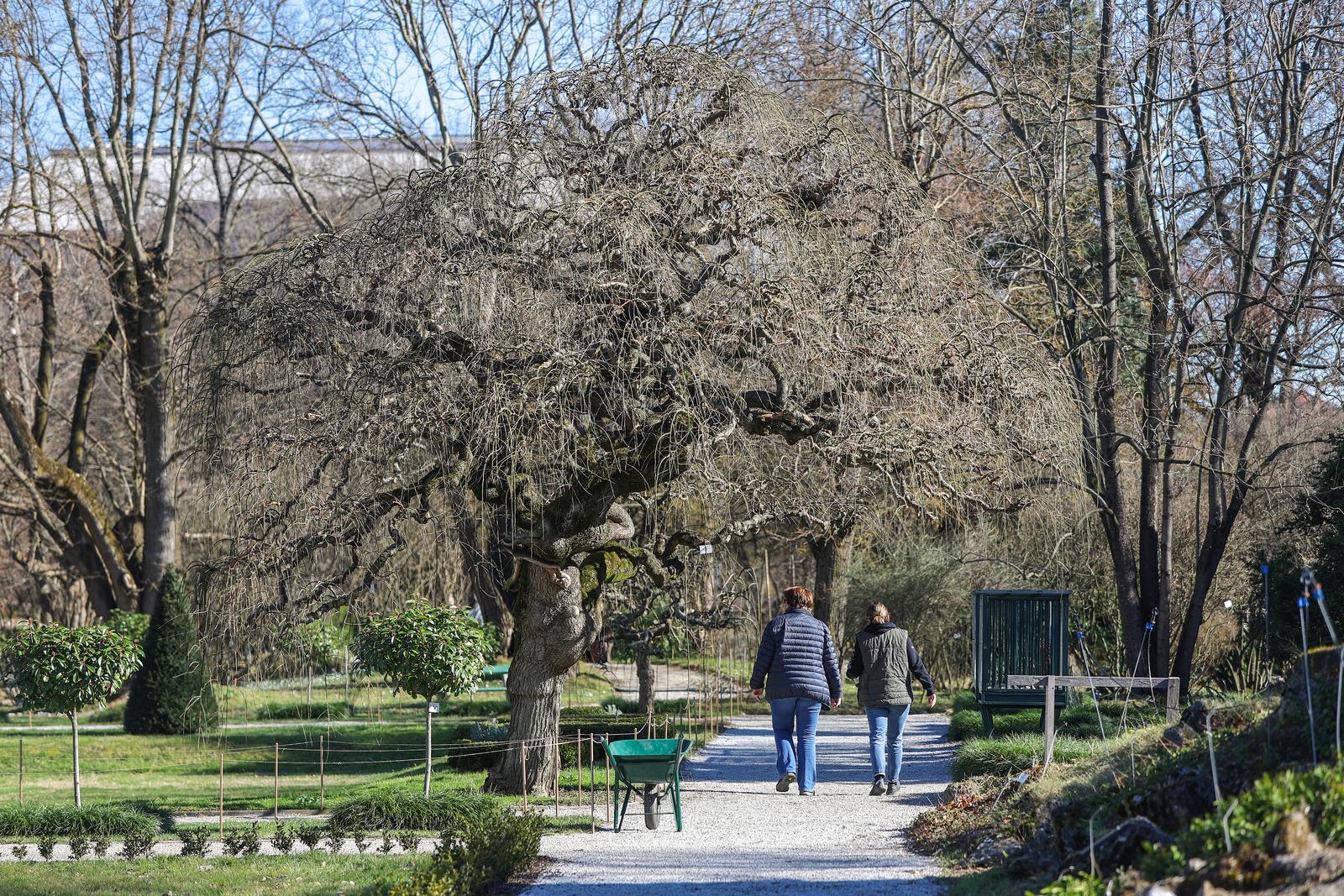 15.02.2024., Zagreb - Otvara se Botanicki vrt. Radit ce u veljaci ponedjeljkom i utorkom od 9 do 14.30 h, a ostale dane (ukljucujuci subotu i nedjelju) od 9 do 16 h. Ponedjeljkom i utorkom tijekom skolske godine ulaz u Vrt je besplatan za sve posjetitelje, a ostale dana placa se ulaznica od 2 EUR. Photo: Sanjin Strukic/PIXSELL
