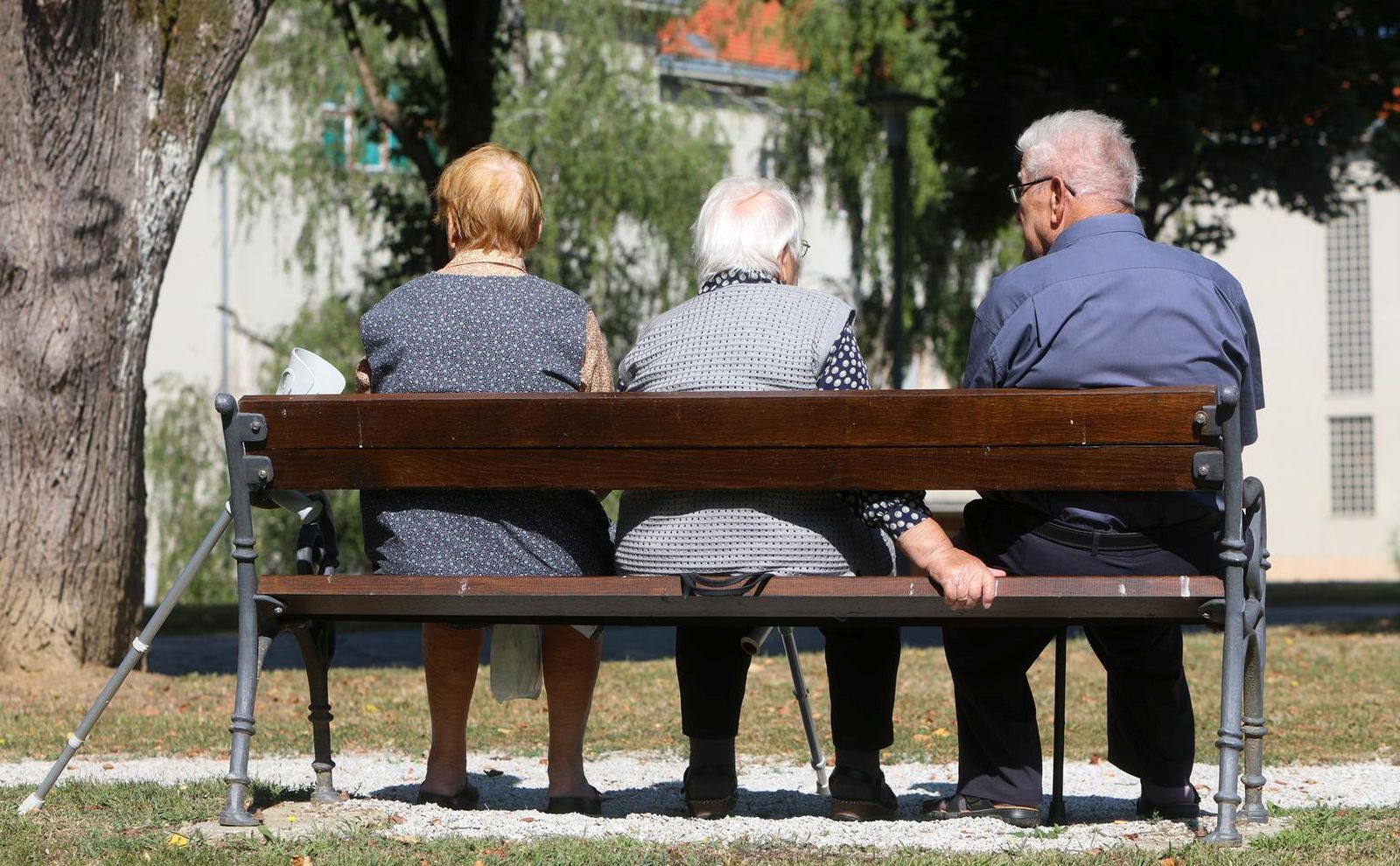 18.08.2021., Karlovac - Umirovljenici odmaraju u parku. rPhoto: Kristina Stedul Fabac/PIXSELL