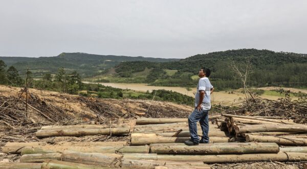 Neudo Dile, 39, shows a deforested area on indigenous Xokleng land illegally used by settlers to plant pine trees in José Boiteux, Santa Catarina state, Brazil, on October 11, 2023. The closure of the gates of the North Dam in the municipality of José Boiteux, Santa Catarina state, along with heavy rains in the region have caused the flooding of at least four villages in the Laklãnõ Xokleng Indigenous Land.,Image: 813275086, License: Rights-managed, Restrictions: , Model Release: no, Credit line: Anderson Coelho / AFP / Profimedia