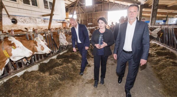 03.04.2024., Dubrava - Predsjednik Sabora, Gordan Jandrokovic, posjetio je OPG Emina Burek, najboljeg proizvodjaca mlijeka u 2023. godini. Photo: Tomislav Miletic/PIXSEL/PIXSELL