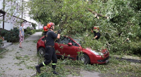 Polish firefighters cut branches from a fallen tree after yesterday's strong winds in Krakow, southern Poland, 24 July 2022.,Image: 709505788, License: Rights-managed, Restrictions: POLAND OUT, Model Release: no, Credit line: Lukasz Gagulski / PAP / Profimedia