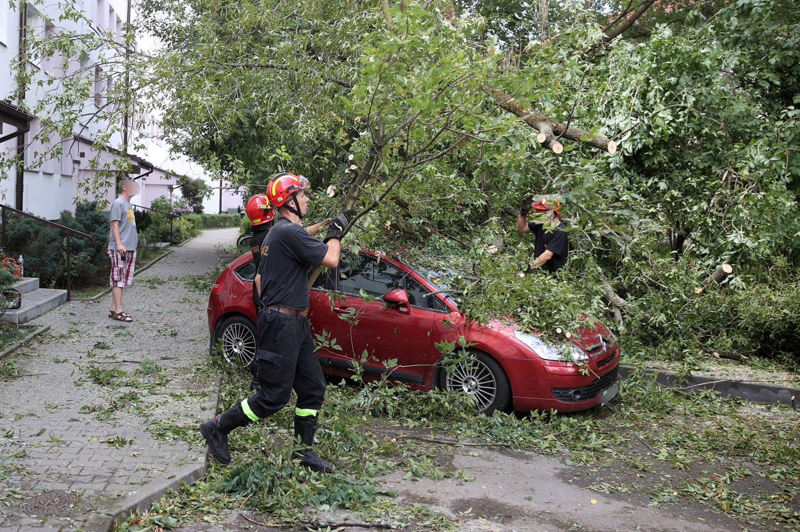 Polish firefighters cut branches from a fallen tree after yesterday's strong winds in Krakow, southern Poland, 24 July 2022.,Image: 709505788, License: Rights-managed, Restrictions: POLAND OUT, Model Release: no, Credit line: Lukasz Gagulski / PAP / Profimedia