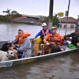 epa11332123 Rescuers carry some of the rescued dogs in a flooded area in Canoas, metropolitan region of Porto Alegre, Brazil, 10 May 2024. The death toll from the devastating floods in southern Brazil reached 116 this10 May and the Government warned of heavy rainfall for the weekend, which could further aggravate a situation that is already critical.  EPA/Andre Borges