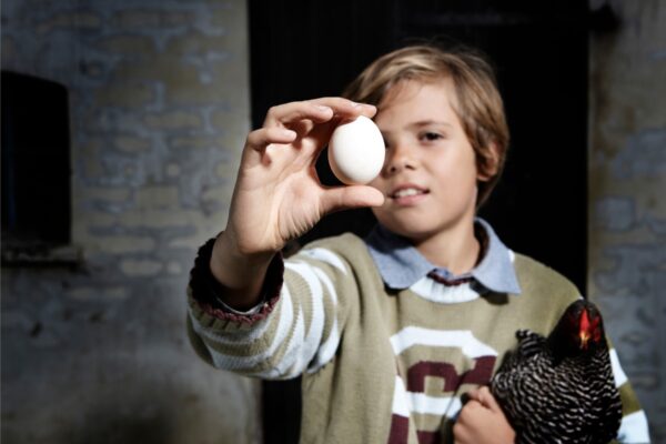Boy holding egg and chicken outdoors,Image: 295622327, License: Royalty-free, Restrictions: Specifically, you may not use the Images in ways or contexts that might reasonably be construed as pornographic, defamatory, libellous or otherwise unlawful;
Specifically, you may not use images depicting any model in any unduly controversial or unflattering context, unless accompanied with a statement indicating that the person is a model and the images are being used for illustrative purposes only., Model Release: yes, Credit line: Henrik Weis / ImageSource / Profimedia